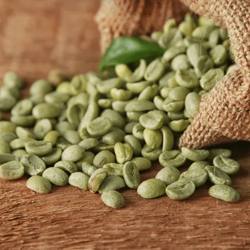 Caffè Verde - ingrediente Burn Slim